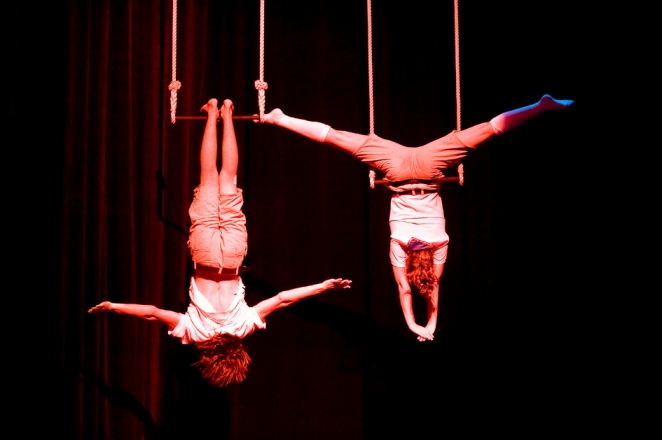 scout circus